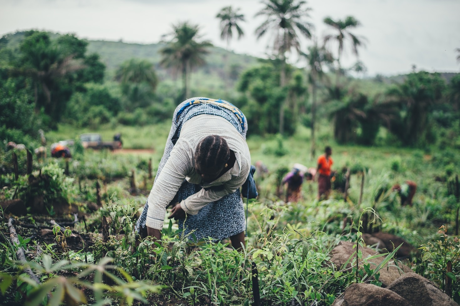 Exploring the Cultural Stories Behind African Foods