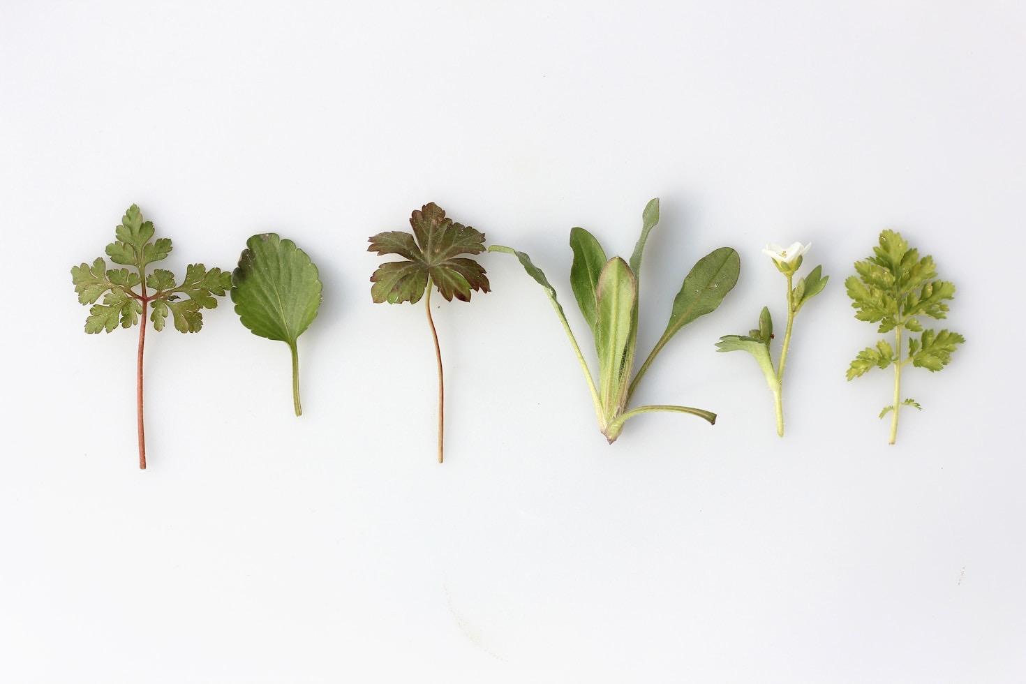 Navigating Seasonal Cultivation for Better Health